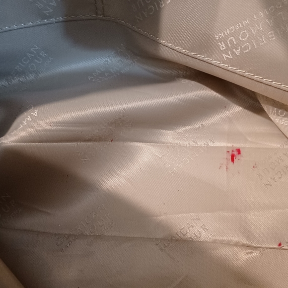 SOLD! Badgley Mischka handbag - Picture 10 of 10